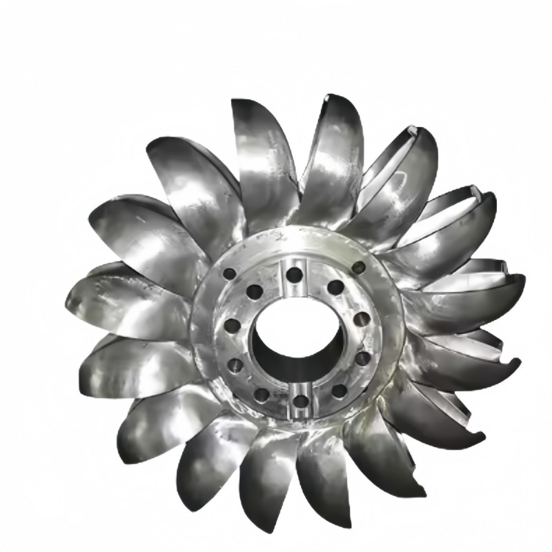 Renewable Energy Hydro - Generatore Idroelettrico a Impulsi Assiali Pelton