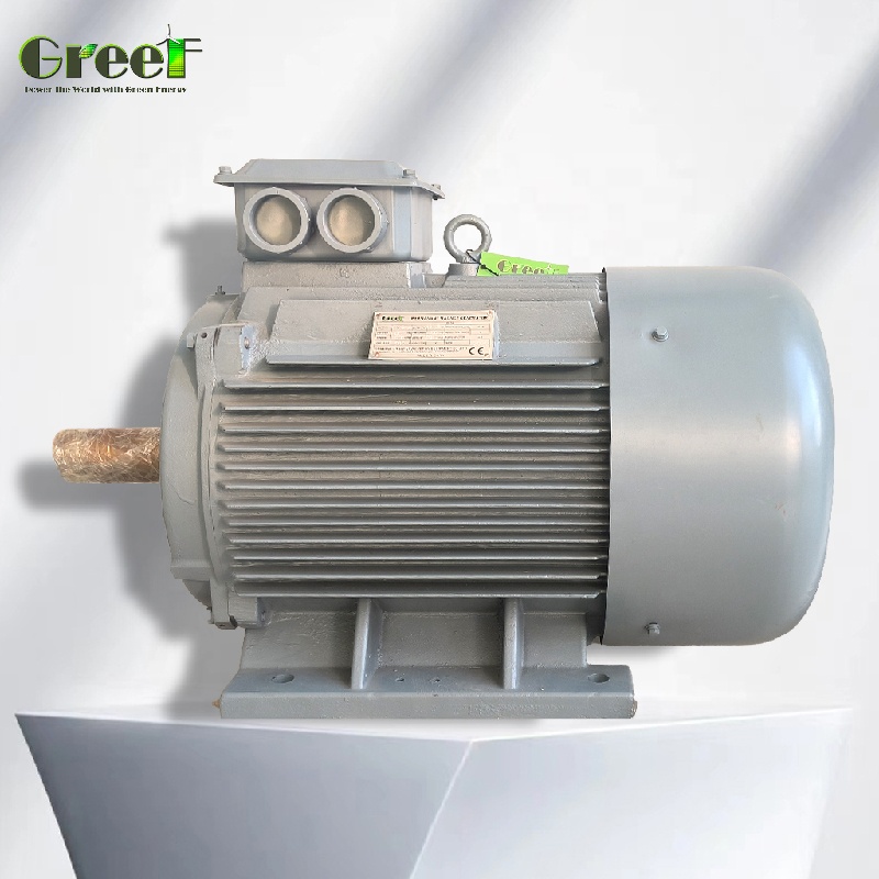 Generatore a Magneti Permanent - Renewable Energy Hydro recensione e prezzo