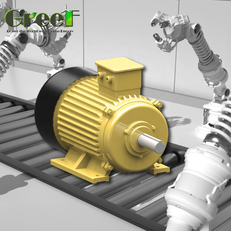 Generatore a Magneti Permanent - Renewable Energy Hydro recensione e prezzo